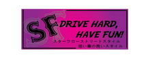 Load image into Gallery viewer, &quot;Glitter Drive Hard, Have Fun&quot; Printed Slap
